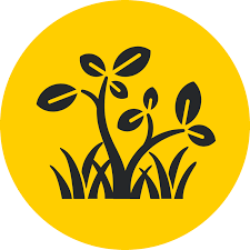 Garden Maintenance